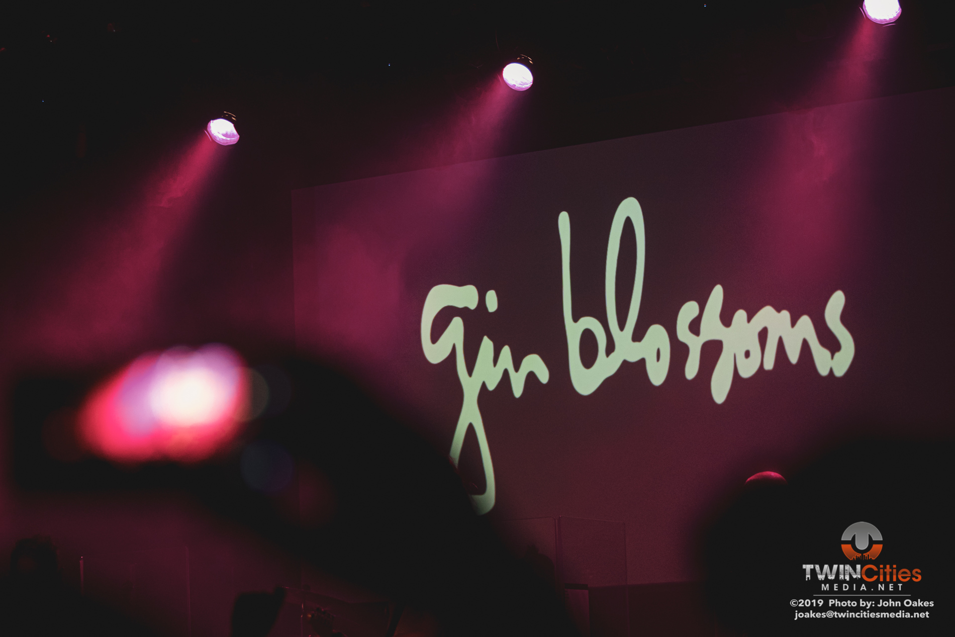 Gin-Blossoms9