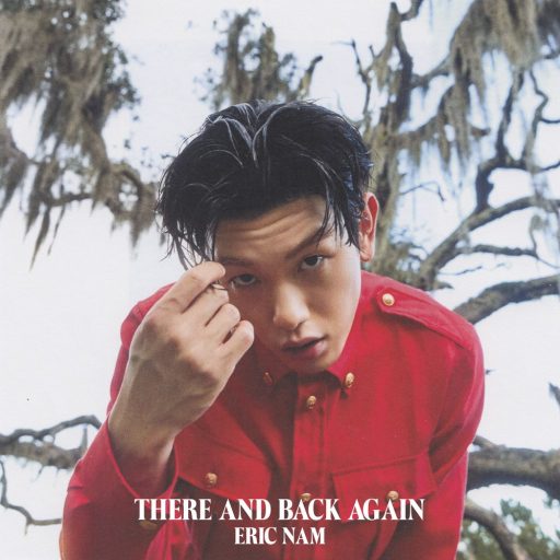 Eric Name - There and Back Again album cover